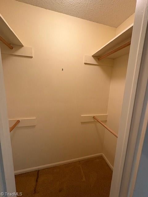 spacious closet featuring carpet