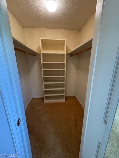 spacious closet with carpet
