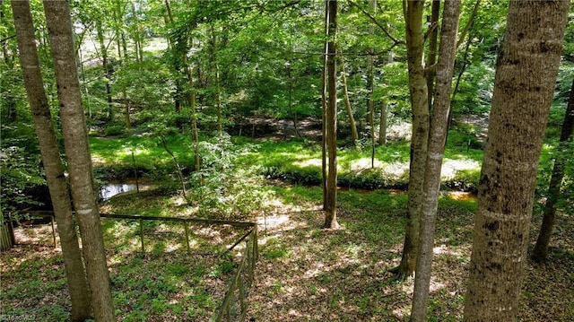 1721 Abbottsford Dr, Kernersville, NC 27284 - view of nature