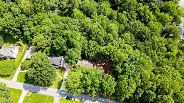 1721 Abbottsford Dr, Kernersville, NC 27284 - drone / aerial view