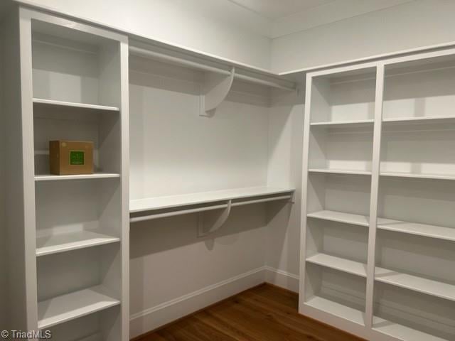 spacious closet featuring dark hardwood / wood-style floors