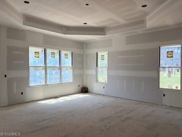 empty room with a tray ceiling and plenty of natural light