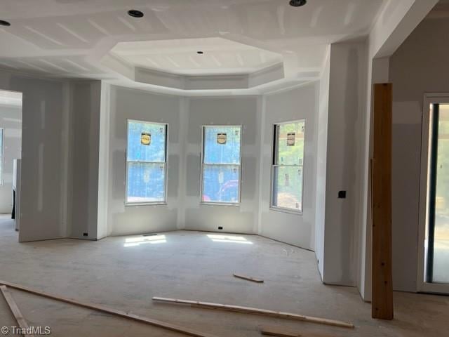 unfurnished room with a tray ceiling