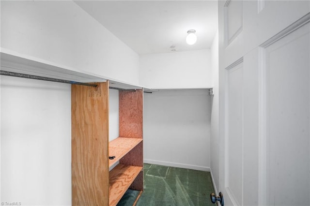 spacious closet featuring dark colored carpet