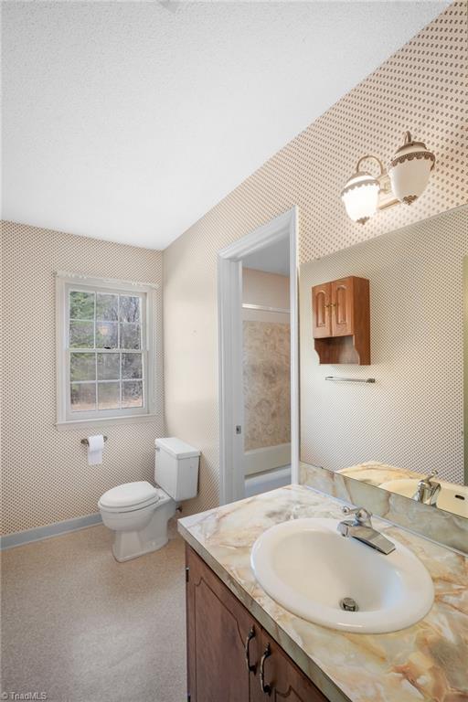 bathroom with toilet and vanity