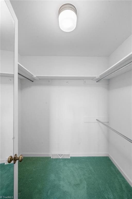 walk in closet with carpet flooring