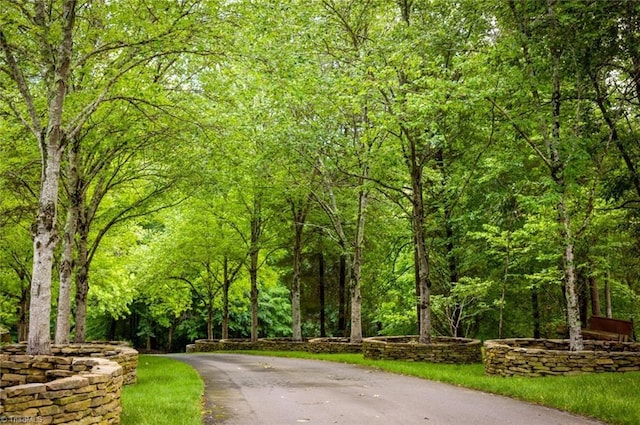 view of property's community featuring a view of trees