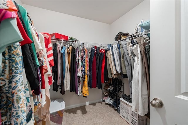4997 Payne St, Trinity, NC 27370 - spacious closet featuring carpet
