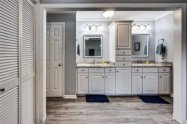 bathroom featuring a sink, a closet, wood finished floors, and crown molding