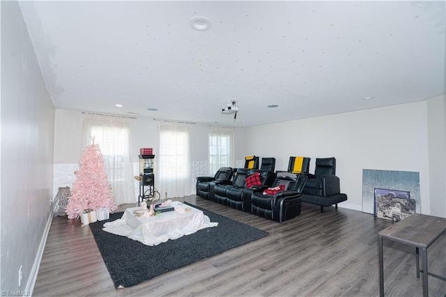 living room featuring hardwood / wood-style flooring