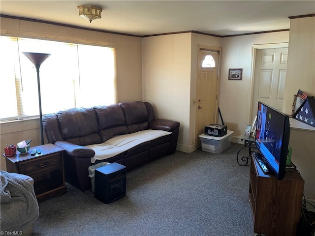 carpeted living room featuring crown molding