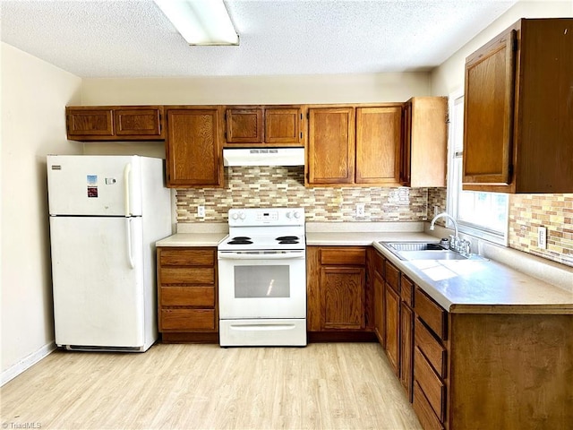 kitchen featuring under cabinet range hood, light wood-style flooring, brown cabinetry, white appliances, and a sink