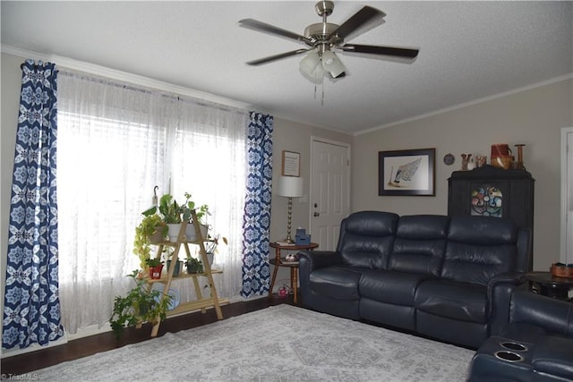 621 Southern Rd, King, NC 27021 - living area featuring a ceiling fan, ornamental molding, a textured ceiling, and wood finished floors