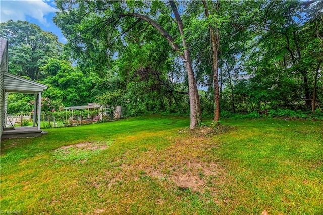 1732 Harrison Ave, Winston-Salem, NC 27105 - view of green lawn