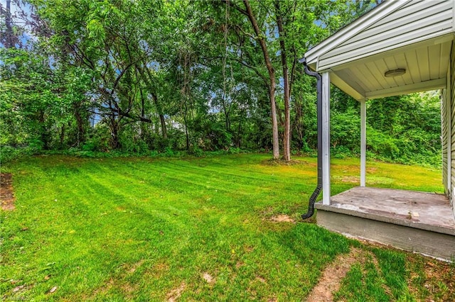1732 Harrison Ave, Winston-Salem, NC 27105 - view of grassy yard
