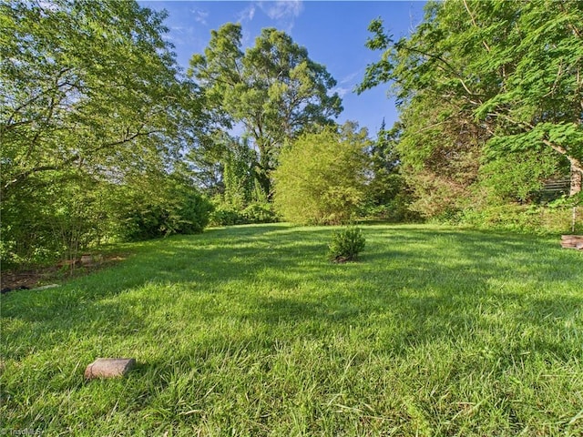 1008 E Brookline St, Winston-Salem, NC 27107 - view of green lawn