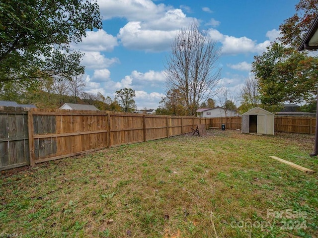 view of yard with a storage unit