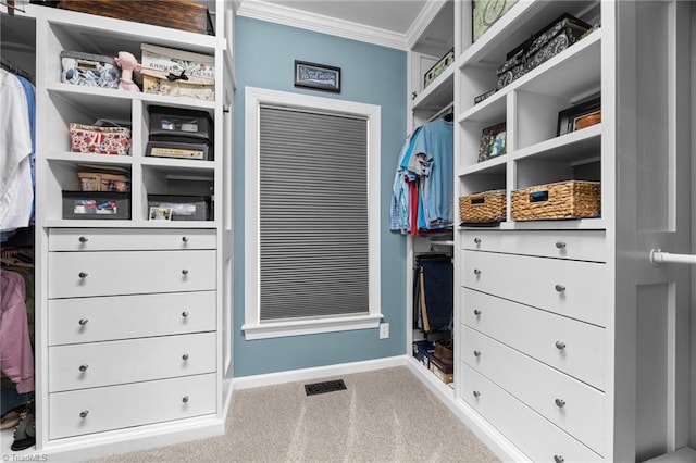 8483 Austin Hill Ln, Tobaccoville, NC 27050 - spacious closet with carpet