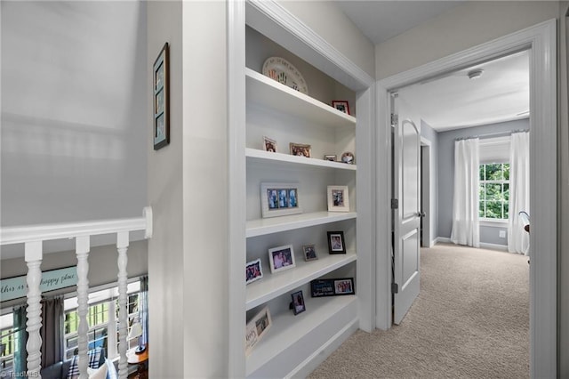 8483 Austin Hill Ln, Tobaccoville, NC 27050 - corridor featuring carpet floors and built in shelves