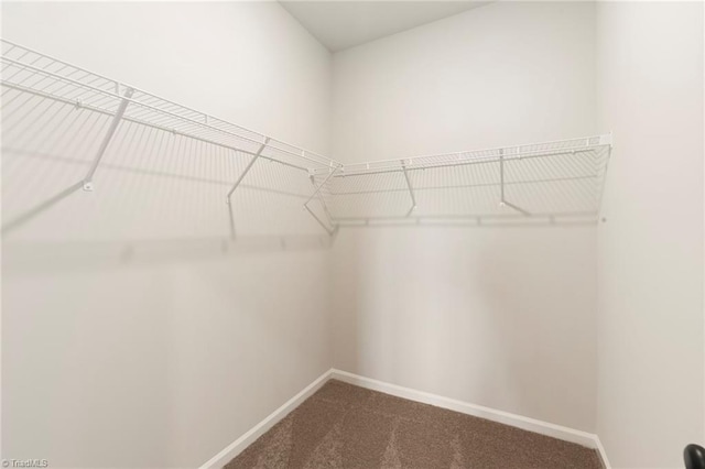 1047 Russell Dr, Winston-Salem, NC 27127 - spacious closet featuring carpet flooring