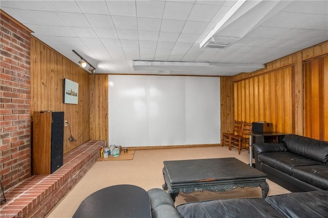 living room featuring rail lighting, wood walls, and carpet floors