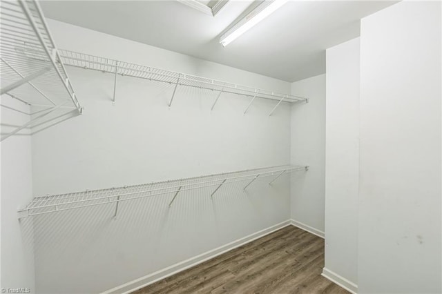 walk in closet with dark hardwood / wood-style floors