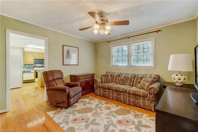 living area featuring a textured ceiling, a ceiling fan, light wood-style flooring, and crown molding