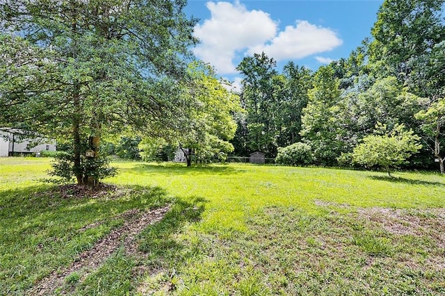 5948 Muddy Creek Rd, Archdale, NC 27263 - view of yard