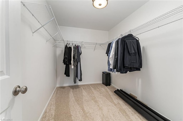 spacious closet featuring radiator and carpet flooring