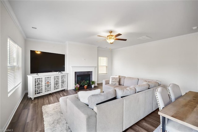 635 Cam Cir, High Point, NC 27265 - living area with ceiling fan, crown molding, baseboards, dark wood finished floors, and a fireplace with flush hearth