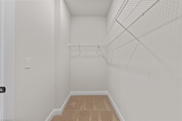 239 Dixieland Ct, King, NC 27021 - walk in closet featuring carpet floors