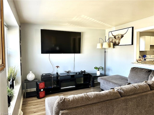 living room featuring wood finished floors