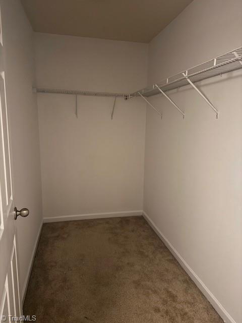 spacious closet featuring dark carpet