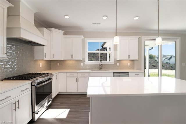 kitchen with pendant lighting, premium range hood, stainless steel appliances, backsplash, and sink