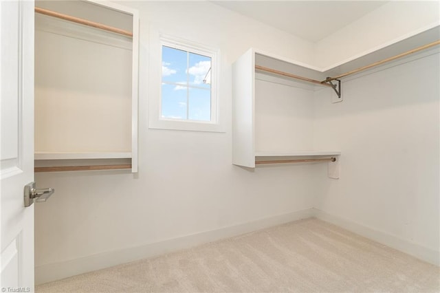 walk in closet with light colored carpet