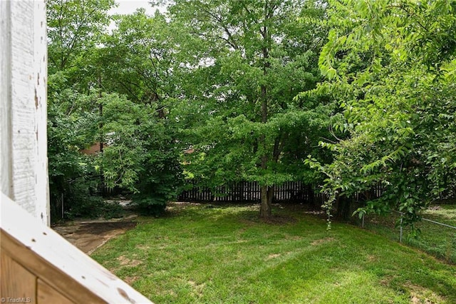 609 W Lexington Ave, High Point, NC 27262 - view of yard