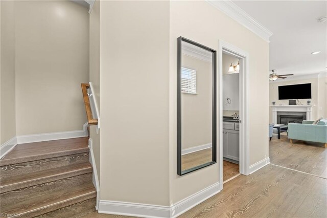 hall with crown molding and light wood-type flooring