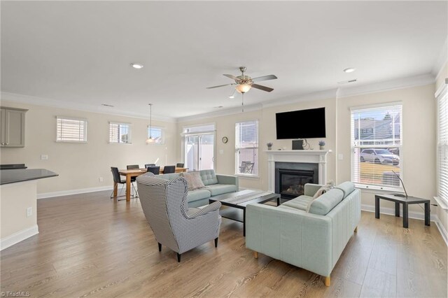 living room featuring ornamental molding, light wood-type flooring, and ceiling fan