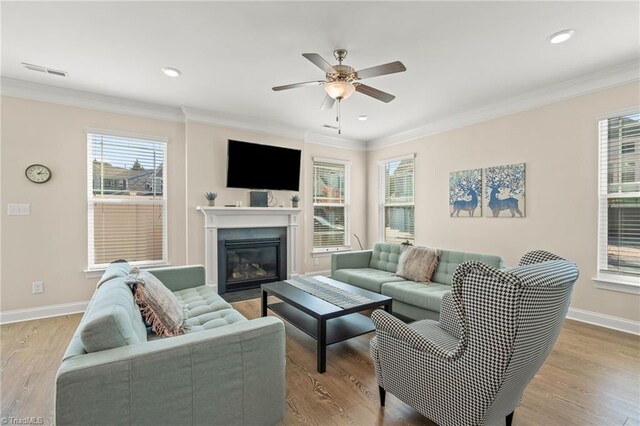 living room with ceiling fan, ornamental molding, and light wood-type flooring