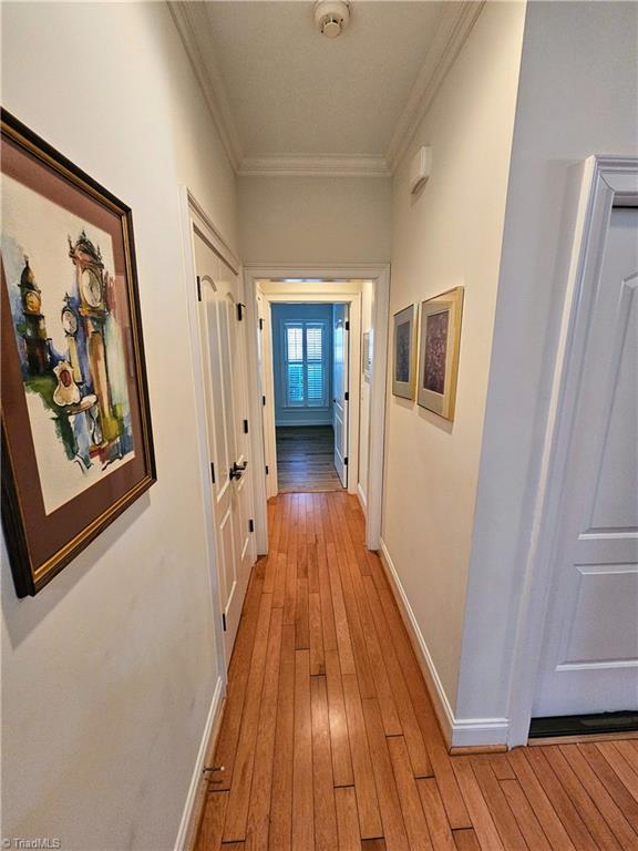 hallway with crown molding and light hardwood / wood-style flooring