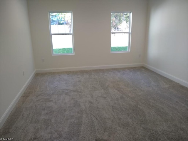 empty room featuring carpet flooring