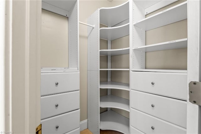 view of spacious closet