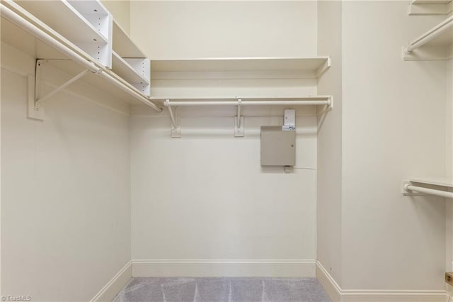 view of walk in closet