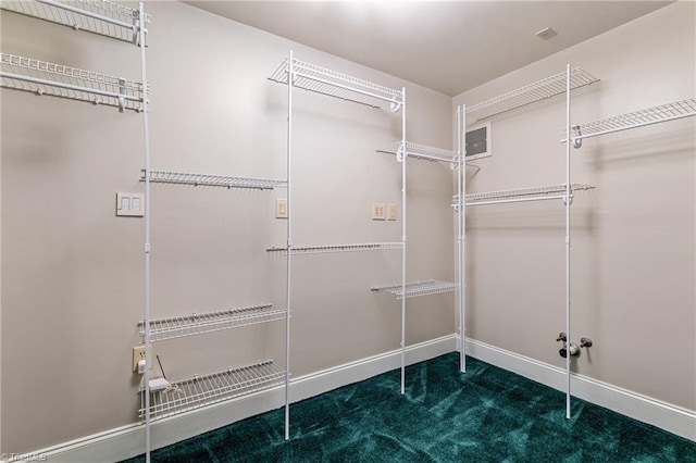 walk in closet with carpet floors