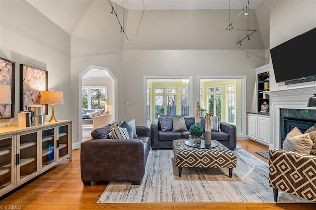 living room featuring plenty of natural light, high vaulted ceiling, wood finished floors, and a fireplace