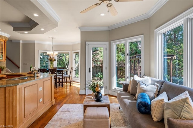 living area featuring ceiling fan with notable chandelier, wood finished floors, and a healthy amount of sunlight