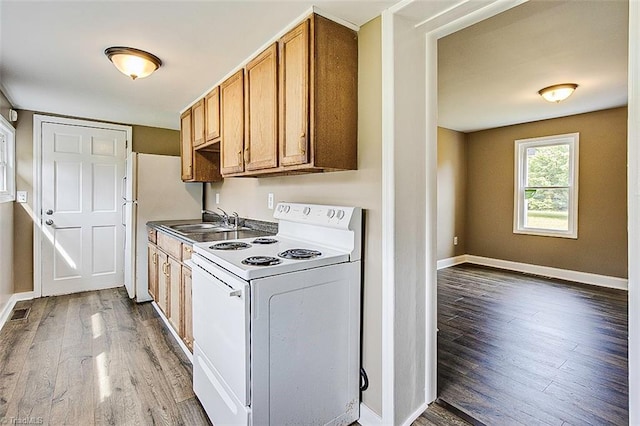 kitchen featuring sink, wood-type flooring, and white appliances