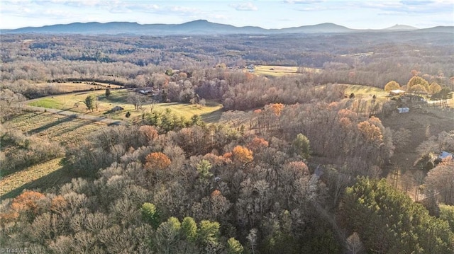 drone / aerial view featuring a mountain view