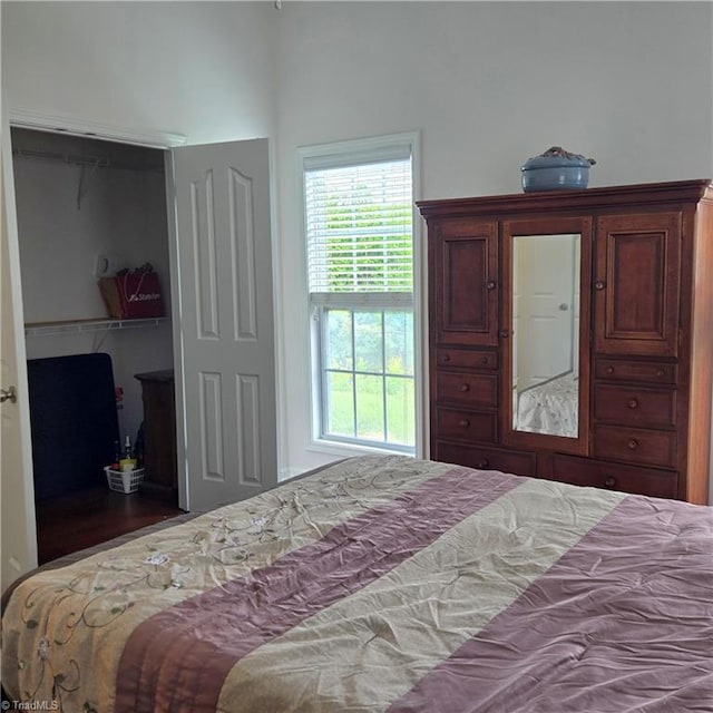 bedroom featuring multiple windows, a spacious closet, and a closet