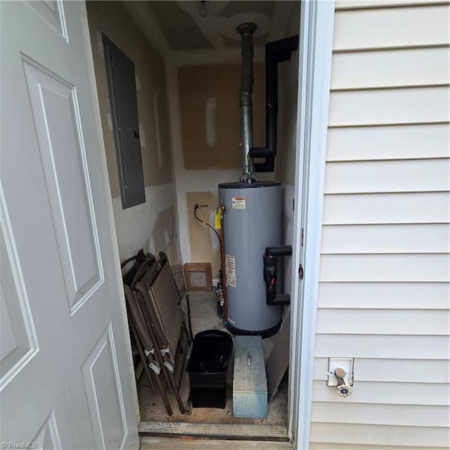utilities with electric panel and gas water heater